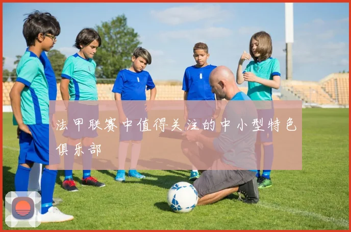 法甲联赛中值得关注的中小型特色俱乐部