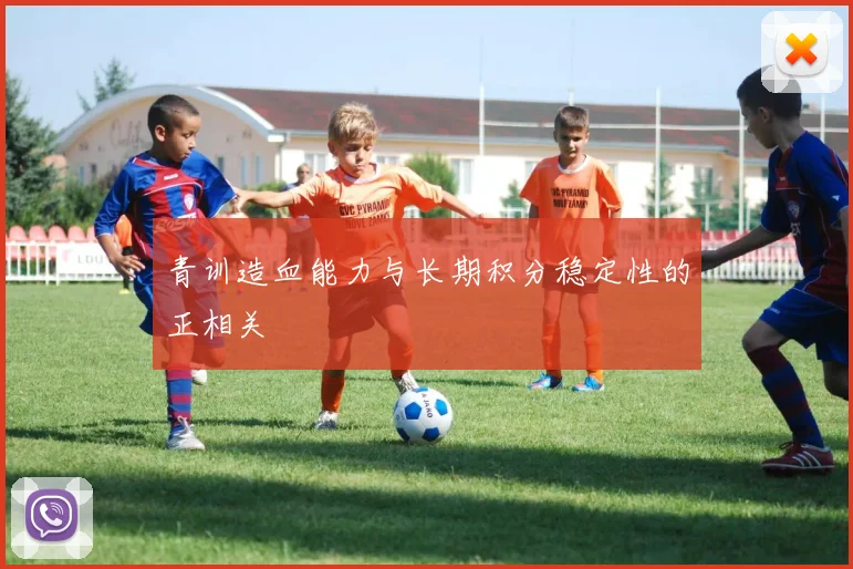 青训造血能力与长期积分稳定性的正相关