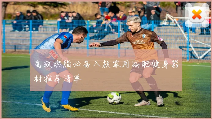 高效燃脂必备八款家用减肥健身器材推荐清单
