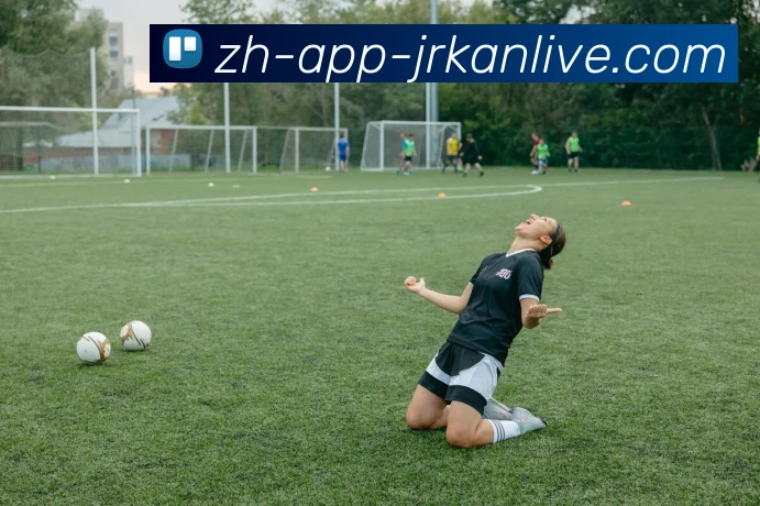 App Interface Preview